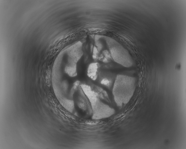 X0000114640917200912011045