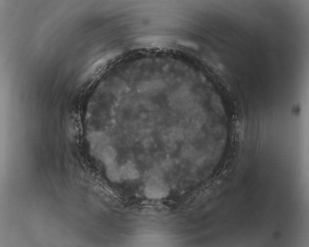 X0000114640918200912011045