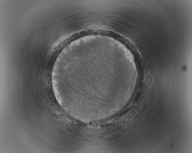 X0000114640919200912011045