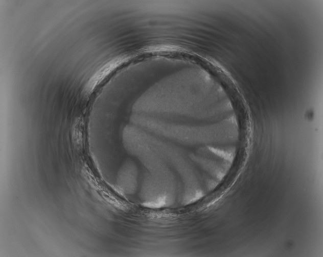 X0000114640921200912011045