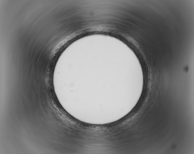 X0000114640922200912011045