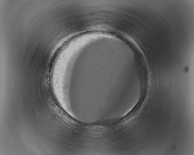 X0000114640923200912011045