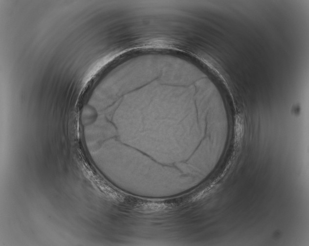 X0000114640925200912011045