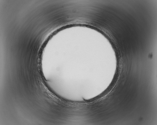 X0000114640926200912011045