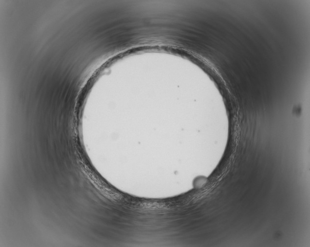 X0000114640927200912011045