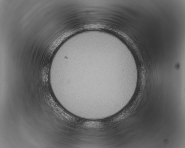 X0000114640929200912011045