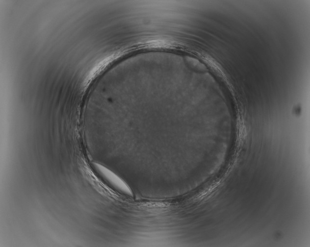 X0000114640930200912011045