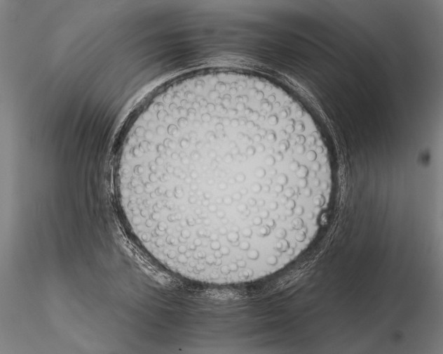 X0000114640931200912011045