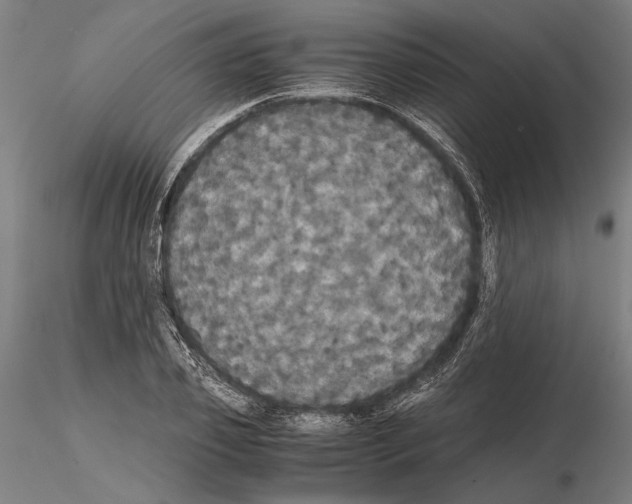 X0000114640933200912011045