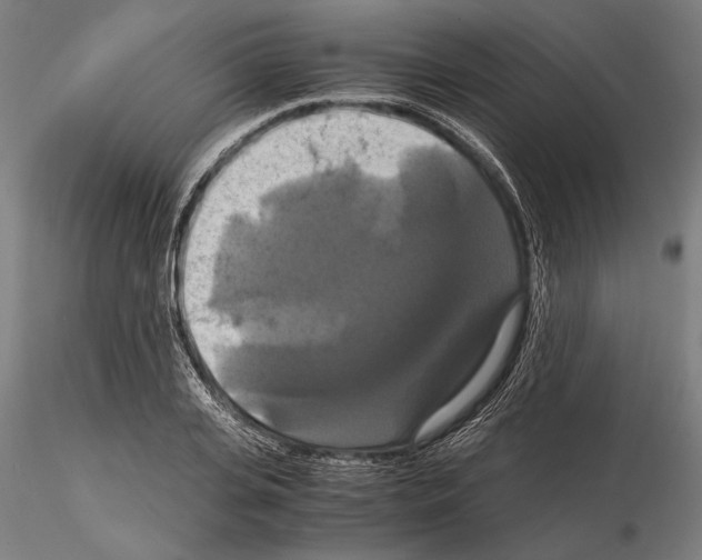 X0000114640935200912011045