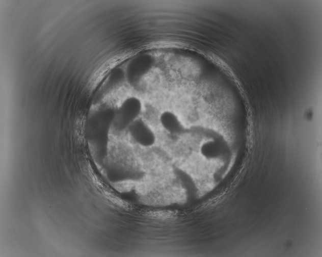 X0000114640937200912011045