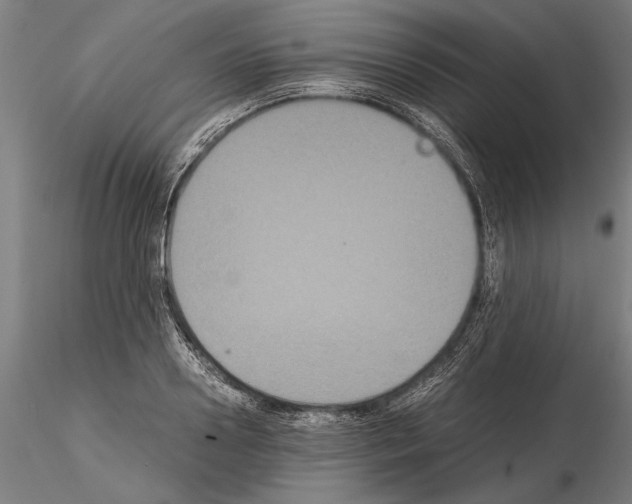 X0000114640938200912011045