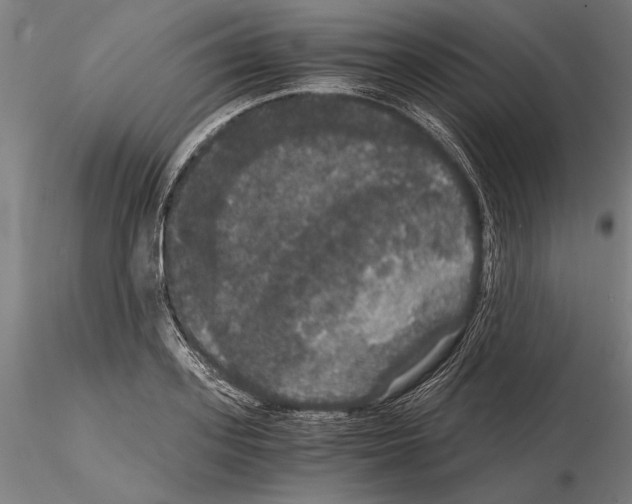 X0000114640939200912011045