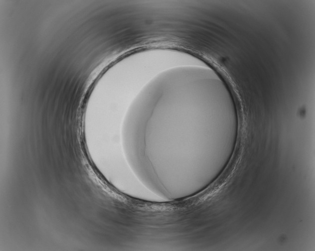 X0000114640941200912011045