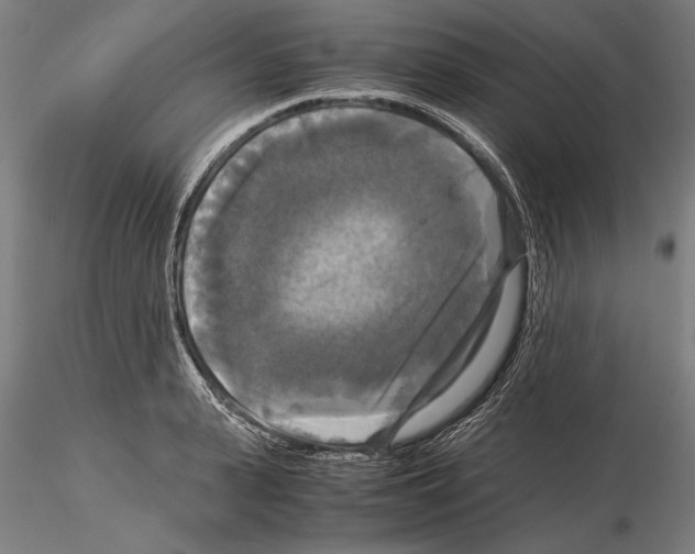 X0000114640943200912011045