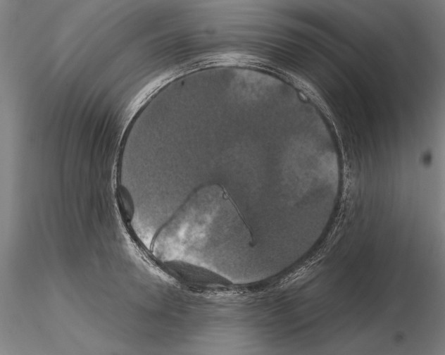 X0000114640946200912011045