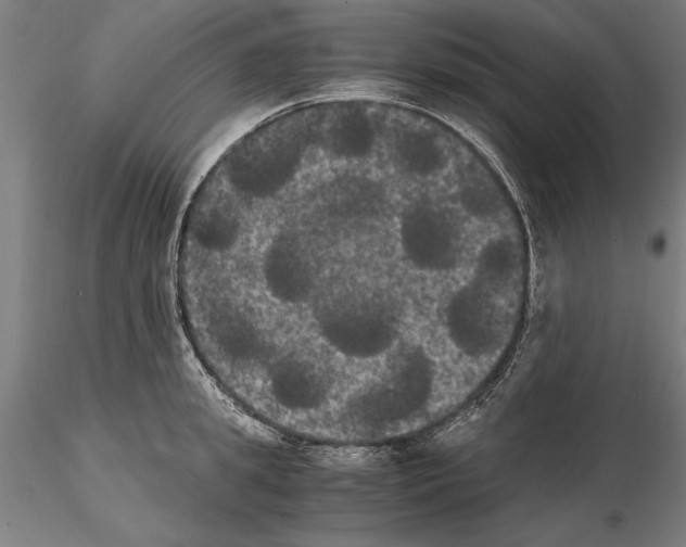 X0000114640949200912011045