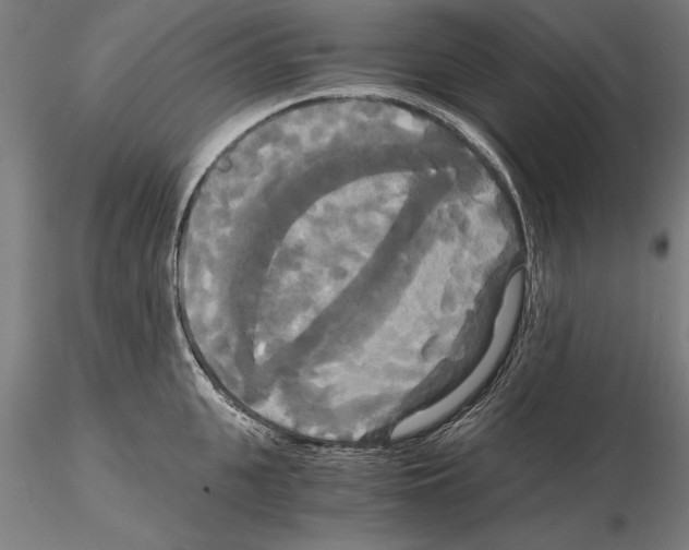 X0000114640951200912011046