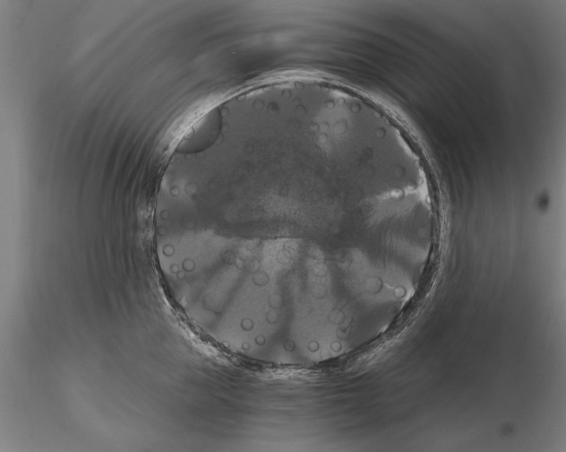 X0000114640953200912011046