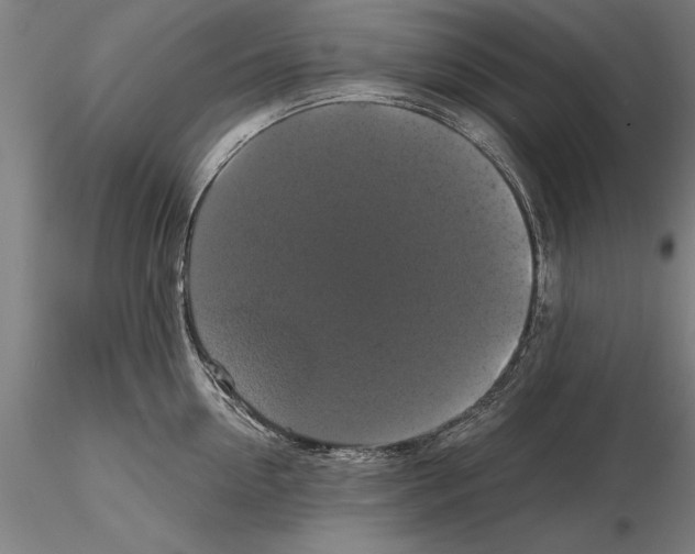 X0000114640954200912011046