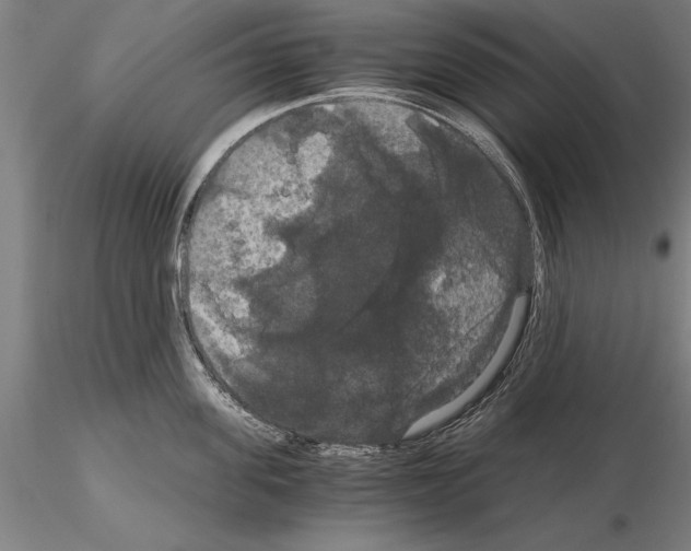 X0000114640955200912011046