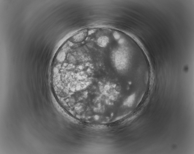 X0000114640957200912011046