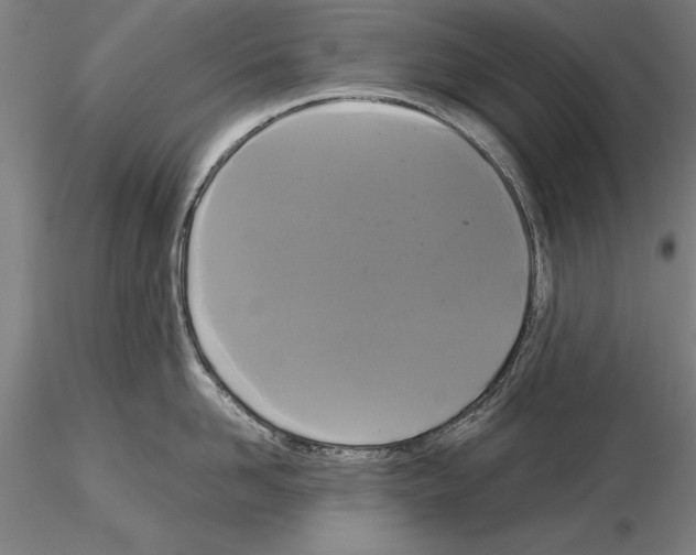 X0000114640958200912011046