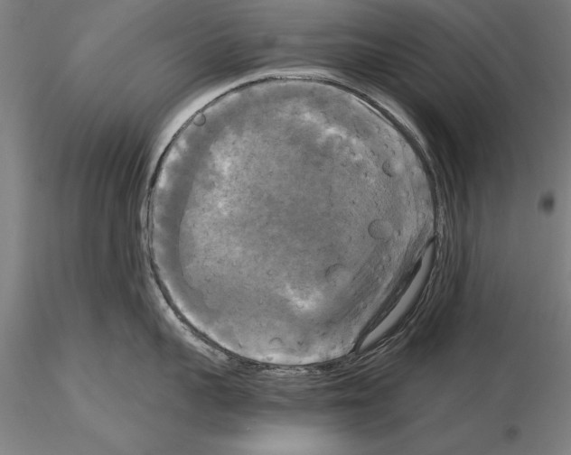 X0000114640959200912011046