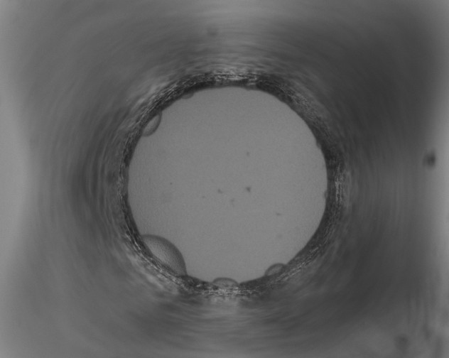 X0000114640961200912011045