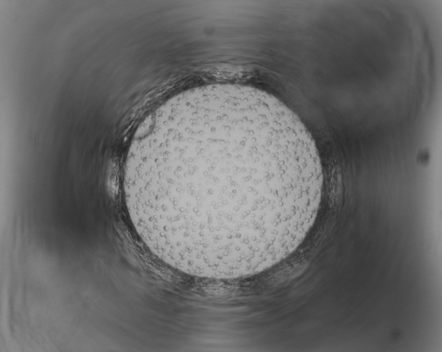 X0000114640962200912011045