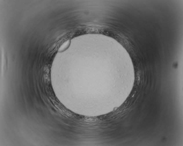 X0000114640964200912011045