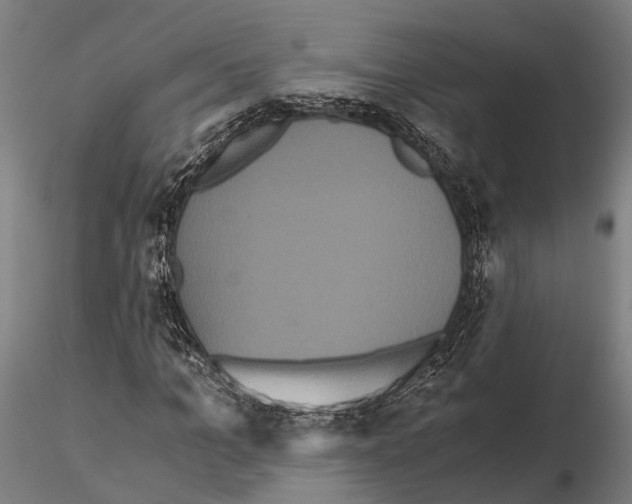 X0000114640965200912011045