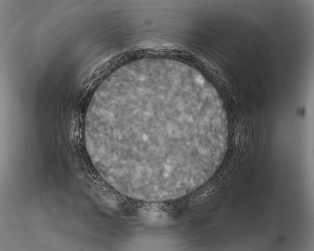 X0000114640966200912011045