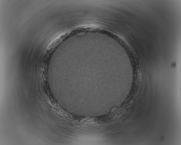 X0000114640967200912011045