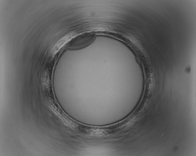 X0000114640969200912011045