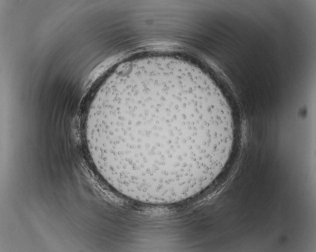 X0000114640970200912011045