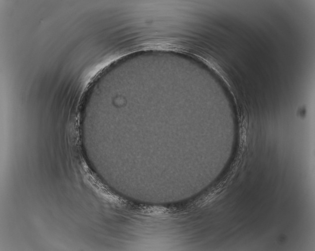 X0000114640971200912011045