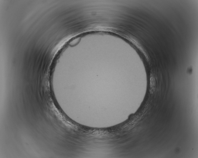 X0000114640972200912011045