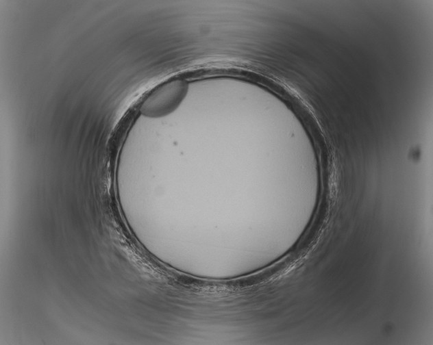 X0000114640973200912011045