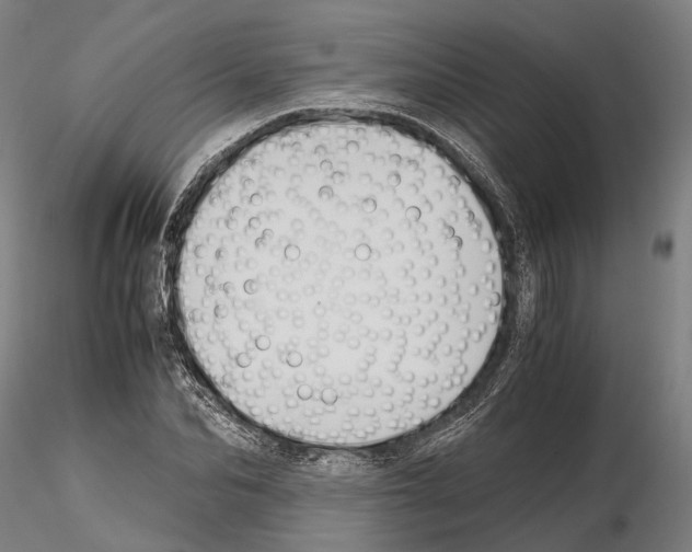 X0000114640974200912011045