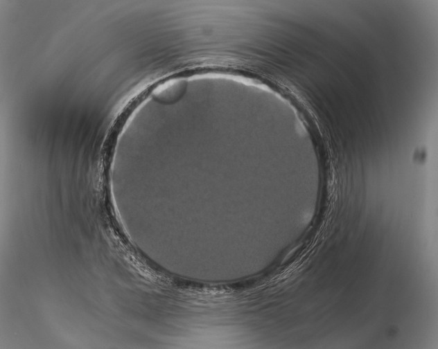 X0000114640975200912011045