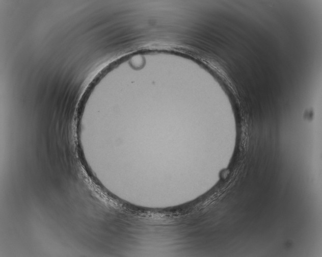 X0000114640976200912011045