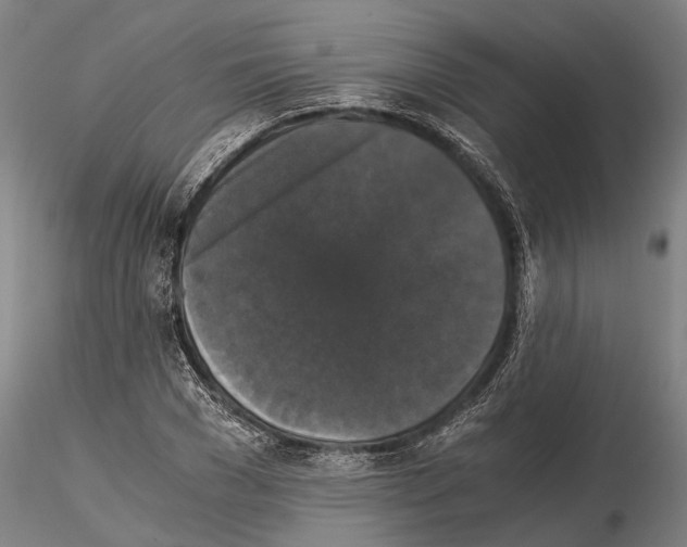 X0000114640977200912011045