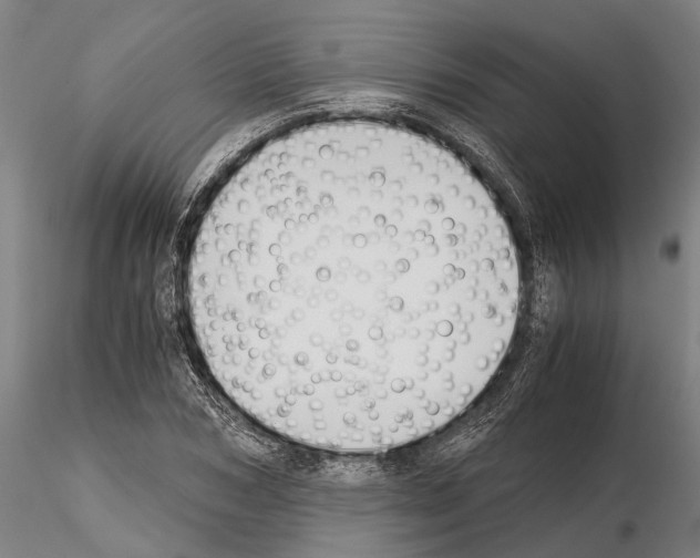 X0000114640978200912011045