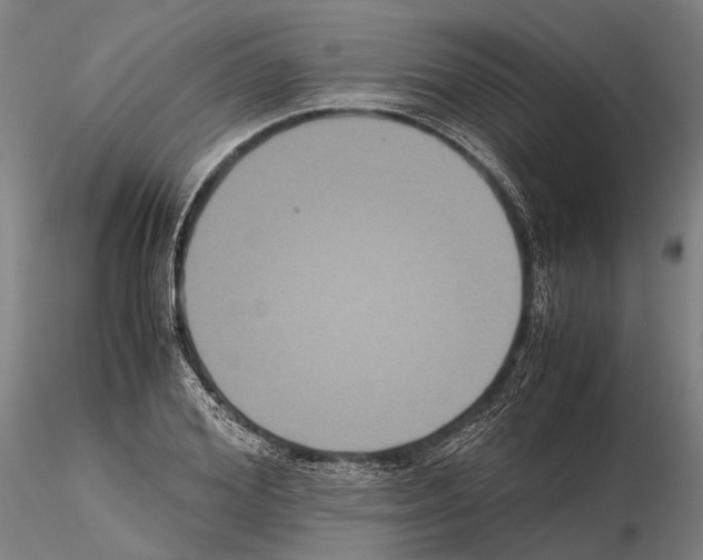 X0000114640980200912011045