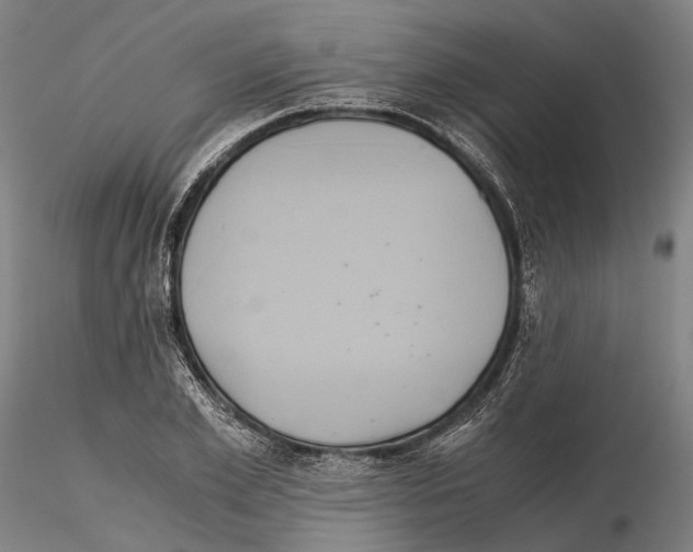 X0000114640981200912011045