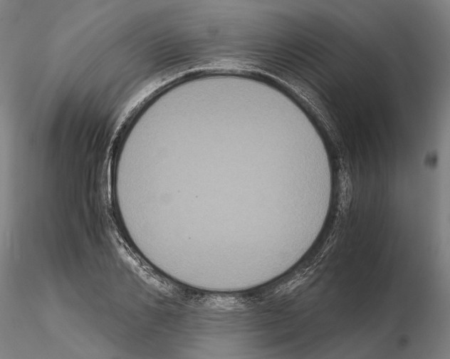 X0000114640982200912011045