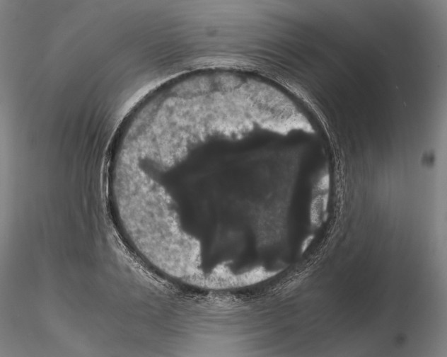 X0000114640983200912011045