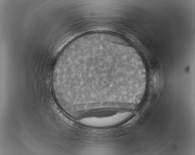 X0000114640985200912011044