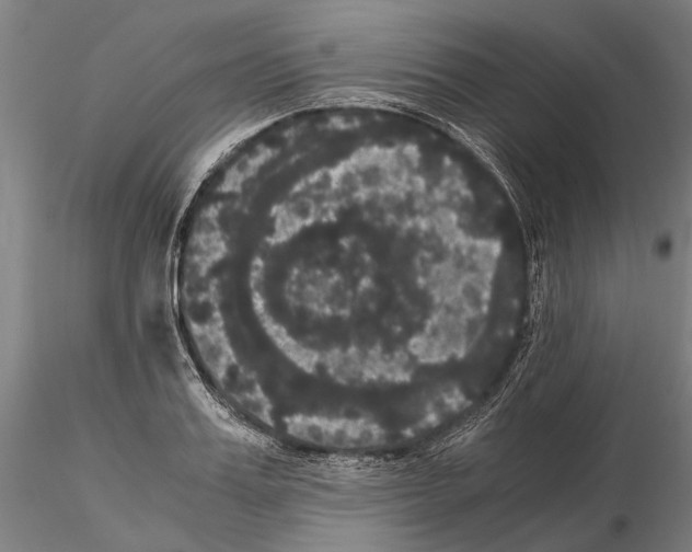 X0000114640987200912011044